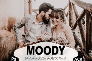 Download Moody Photoshop Actions and ACR Presets - Acr presets Collection
